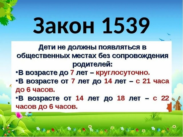 foto 2025 08 13 11 11 003