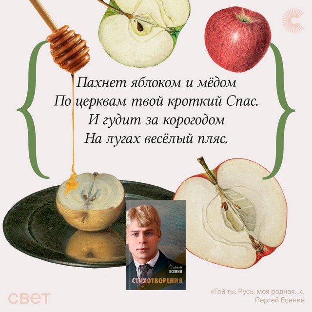 foto 2025 08 21 07 44 002