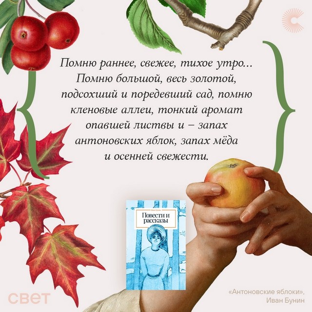 foto 2025 08 21 07 44 005