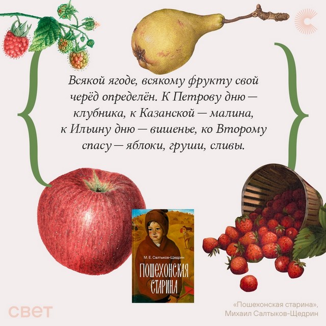 foto 2025 08 21 07 44 007