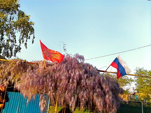 foto 2025 05 07 09 58 002